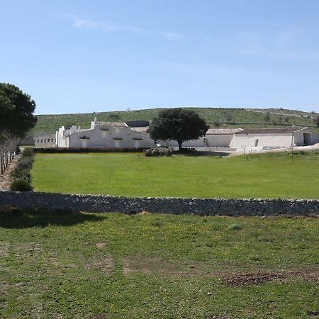 Masseria Torre Di Nebbia كاستل دل مونتي المظهر الخارجي الصورة