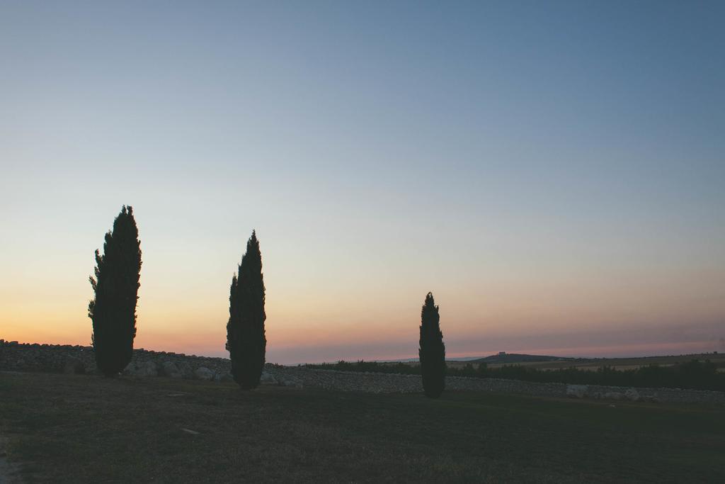 Masseria Torre Di Nebbia كاستل دل مونتي المظهر الخارجي الصورة