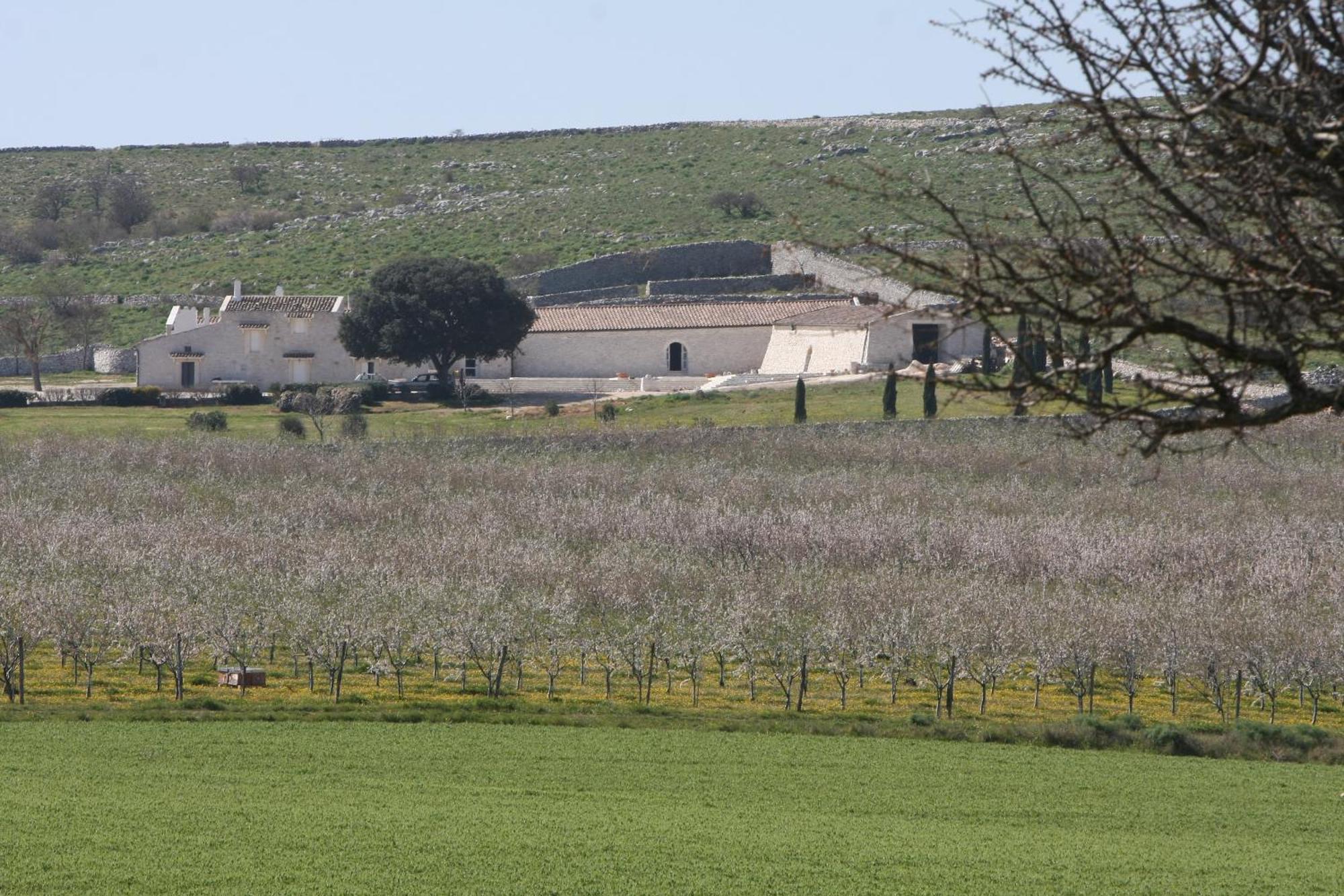 Masseria Torre Di Nebbia كاستل دل مونتي المظهر الخارجي الصورة