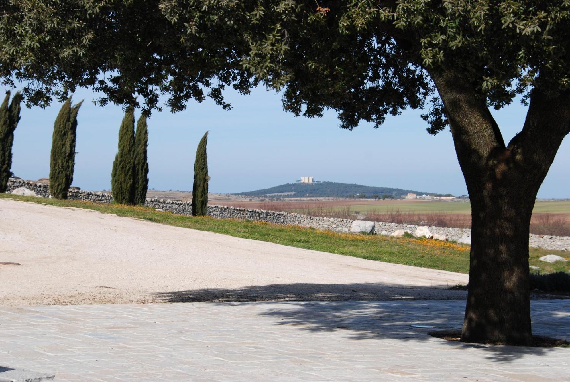 Masseria Torre Di Nebbia كاستل دل مونتي المظهر الخارجي الصورة